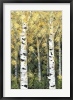 Birch Treeline I Fine Art Print