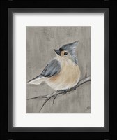 Winter Bird I Framed Print