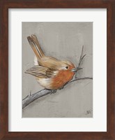 Winter Bird II Fine Art Print