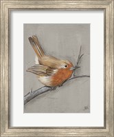 Winter Bird II Fine Art Print