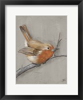 Winter Bird II Framed Print