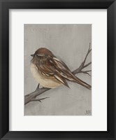 Winter Bird III Fine Art Print