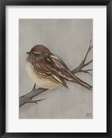 Winter Bird III Fine Art Print