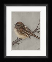 Winter Bird III Framed Print