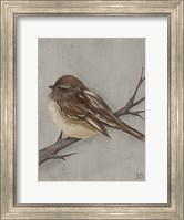 Winter Bird III Fine Art Print