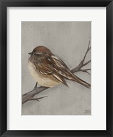 Winter Bird III Framed Print