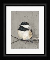 Winter Bird IV Framed Print