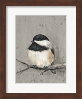 Winter Bird IV Fine Art Print