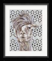 Animal Patterns II Framed Print