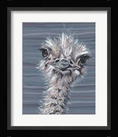 Animal Patterns V Framed Print