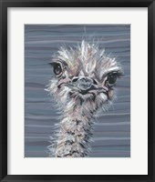 Animal Patterns V Framed Print