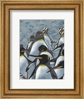 Colony of Penguins I Fine Art Print