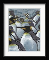 Colony of Penguins II Framed Print