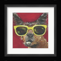 Dapper Animal IV Framed Print