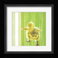 Animal Baby IV Framed Print