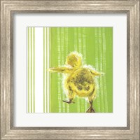 Animal Baby IV Fine Art Print