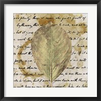 Earth Leaf II Fine Art Print
