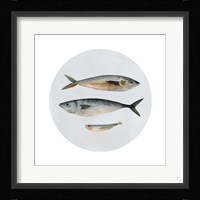 Three Fish I Fine Art Print