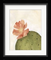 Arid Bloom I Framed Print