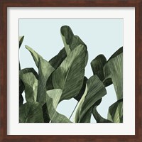Celadon Palms II Fine Art Print