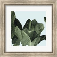 Celadon Palms I Fine Art Print