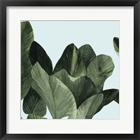 Celadon Palms I Framed Print