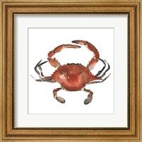 Watercolor Crab I Fine Art Print