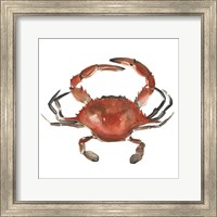 Watercolor Crab I Fine Art Print