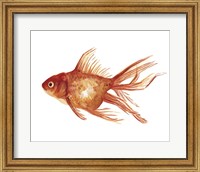 Ornamental Goldfish I Fine Art Print