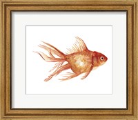 Ornamental Goldfish II Fine Art Print
