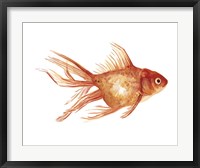 Ornamental Goldfish II Fine Art Print