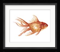 Ornamental Goldfish II Fine Art Print
