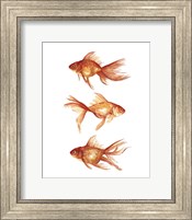 Ornamental Goldfish III Fine Art Print