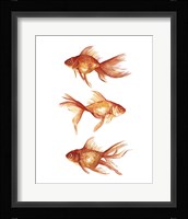 Ornamental Goldfish III Fine Art Print