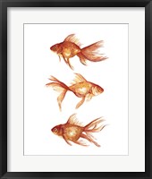 Ornamental Goldfish III Fine Art Print