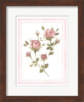 Rose Pattern I Fine Art Print