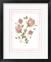 Rose Pattern II Fine Art Print