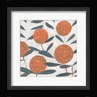 Red Clover II Framed Print