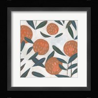 Red Clover III Framed Print