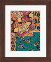 Decorative Butterflies III Fine Art Print