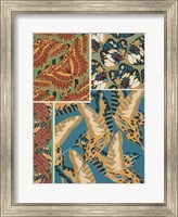 Decorative Butterflies IV Fine Art Print