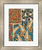 Decorative Butterflies IV Fine Art Print