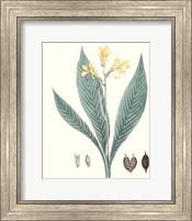 Soft Tropical IV Fine Art Print