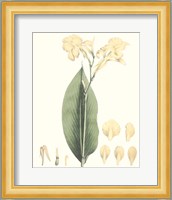 Soft Tropical VII Fine Art Print