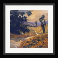 Afternoon II Framed Print
