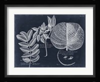 Foliage on Navy I Fine Art Print