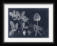 Foliage on Navy II Fine Art Print