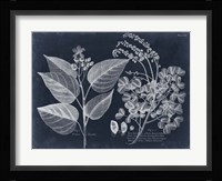Foliage on Navy III Fine Art Print