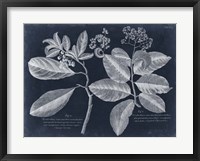 Foliage on Navy IV Framed Print