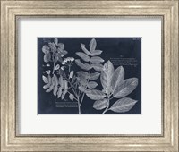 Foliage on Navy V Fine Art Print